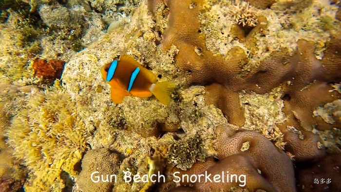 Gun Beach Snorkeling - 2017-5-31.mov_20170604_203054.717-1.jpg