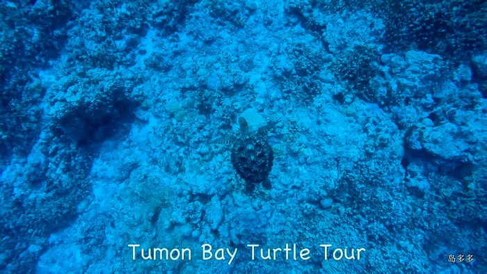 Tumon Bay Tutle Tour - 2017-5-31.mov_20170604_173559.625-1.jpg