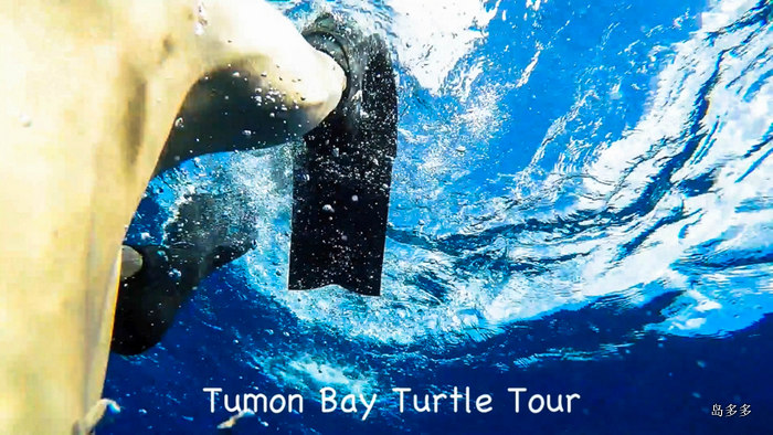 Tumon Bay Tutle Tour - 2017-5-31.mov_20170604_174142.072-1.jpg