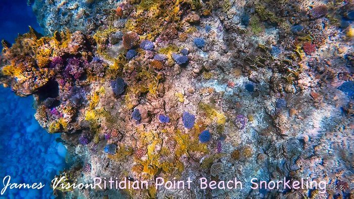 Ritidian Point Beach Snorkeling 2017-6-1.mov_20170617_175611.901.jpg