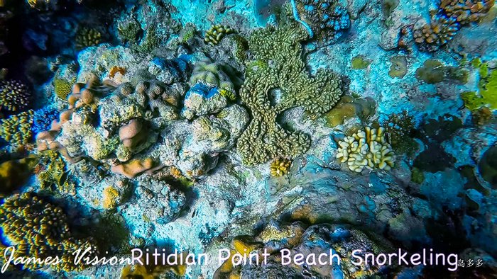 Ritidian Point Beach Snorkeling 2017-6-1.mov_20170617_175931.804.jpg