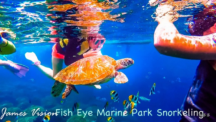 Fish Eye Marine Park No. 1 - 2017-6-2.mov_20170613_213523.221.jpg