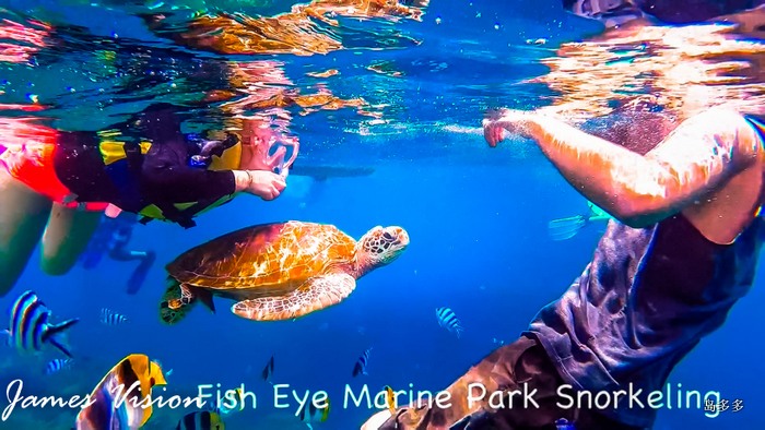 Fish Eye Marine Park No. 1 - 2017-6-2.mov_20170613_213528.500.jpg