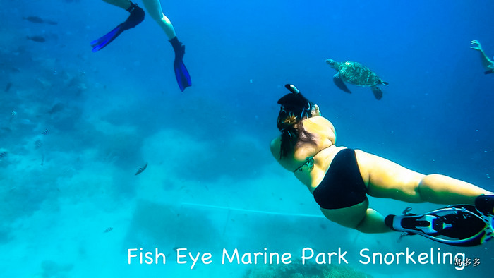 Fish Eye Marine Park No 3. - 2017-6-2.mov_20170618_092029.661.jpg